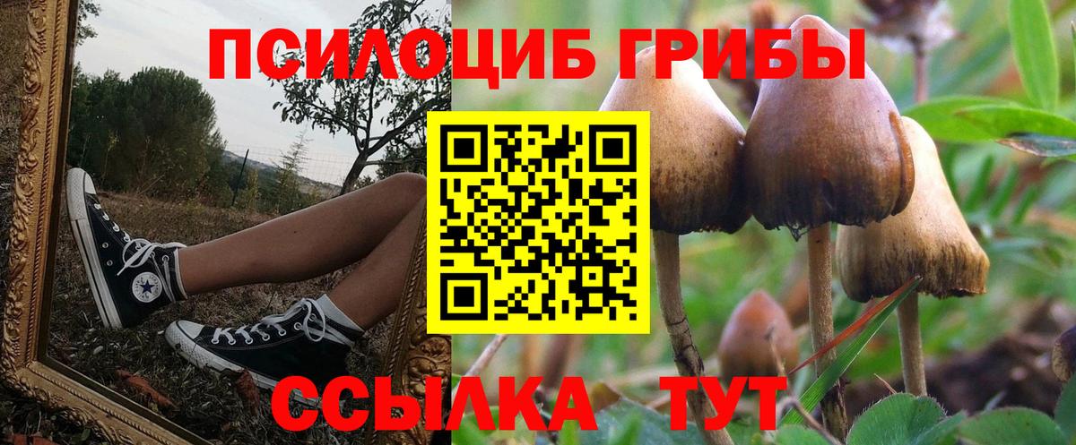 Псилоцибиновые грибы MAGIC MUSHROOMS Новый Уренгой