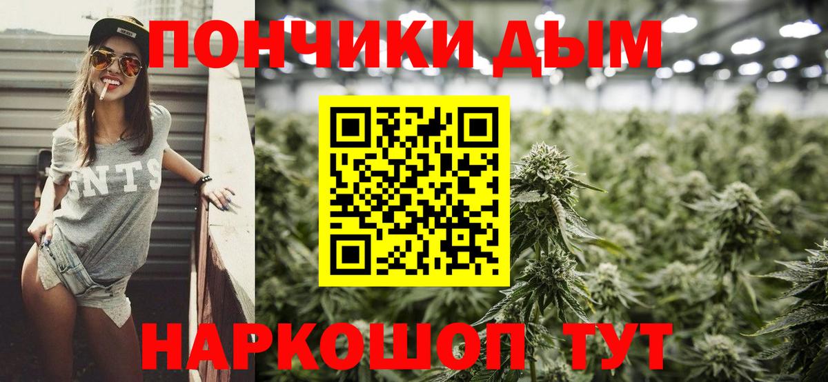 Шишки марихуана план  МАРИХУАНА White Widow  Конопля сатива  Каннабис Amnesia  Вход с VPN  Новый Уренгой 